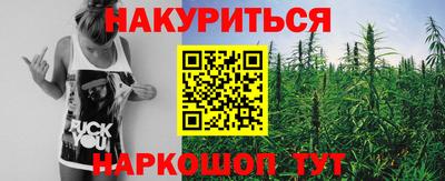 Альфа ПВП Будённовск