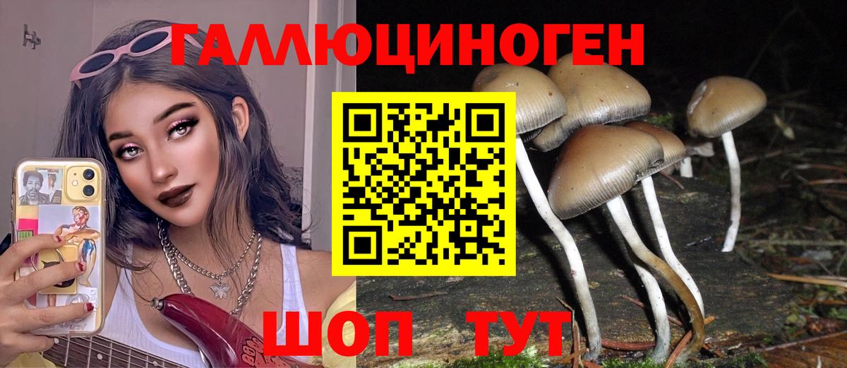 Галлюциногенные грибы мицелий Ноябрьск